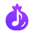 expressvnp中文官网
