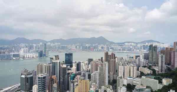 蒲公英app下载